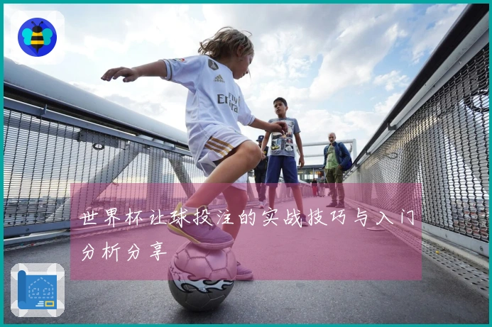 世界杯让球投注的实战技巧与入门分析分享