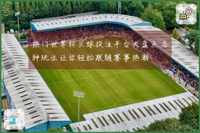 热门世界杯买球投注平台大盘点 各种玩法让你轻松跟随赛事热潮