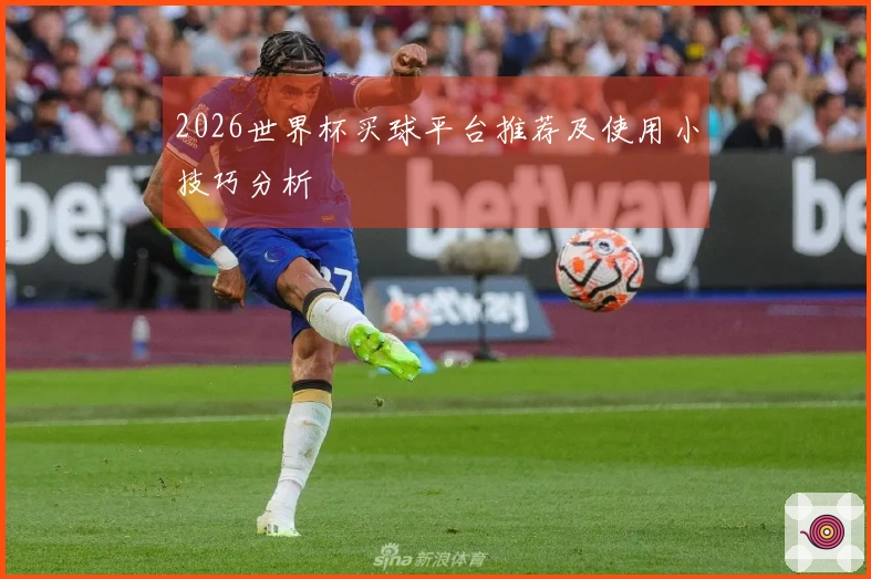 2026世界杯买球平台推荐及使用小技巧分析