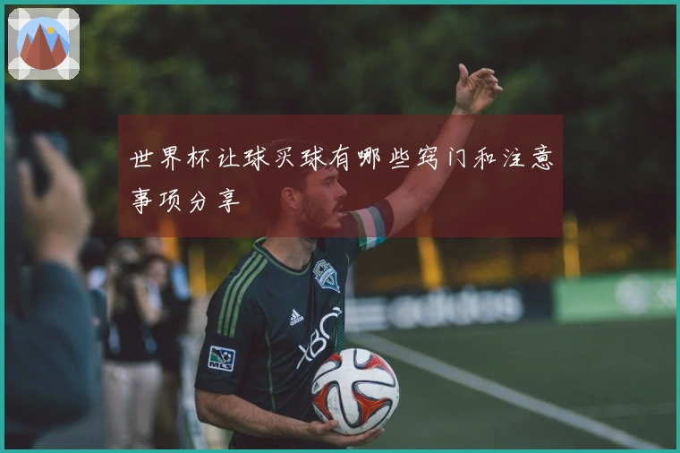 世界杯让球买球有哪些窍门和注意事项分享